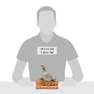 Jim Shore SHADES OF FALL 6016632 Thanksgiving Harvest Leaves Quail Figurine