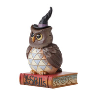Jim Shore HALLOWEEN HOOT 6012749 Halloween Owl Book of Spells Figurine